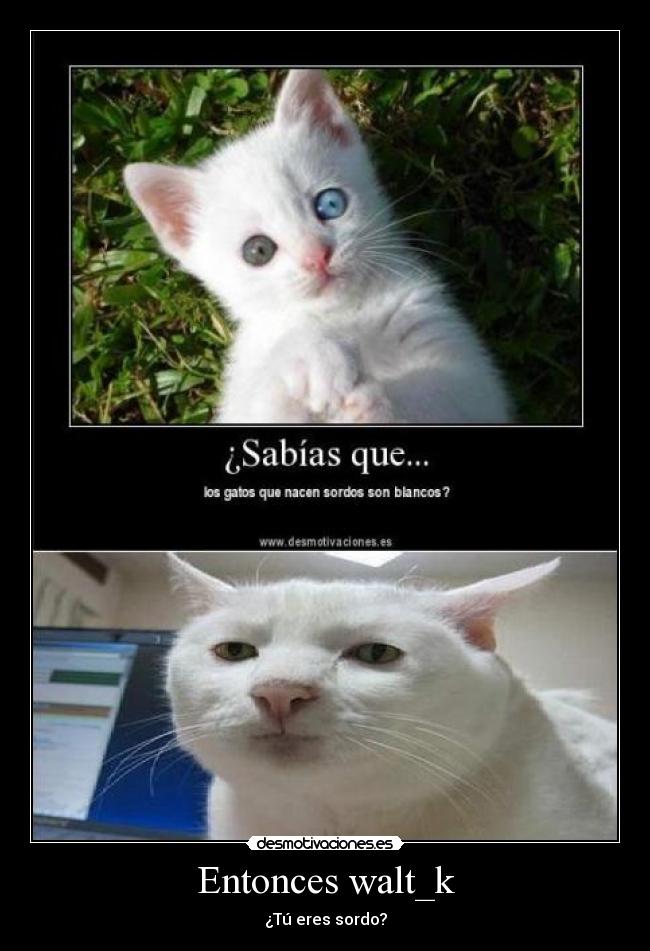 carteles snd desmotivaciones