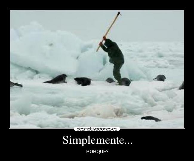 Simplemente... - PORQUE?