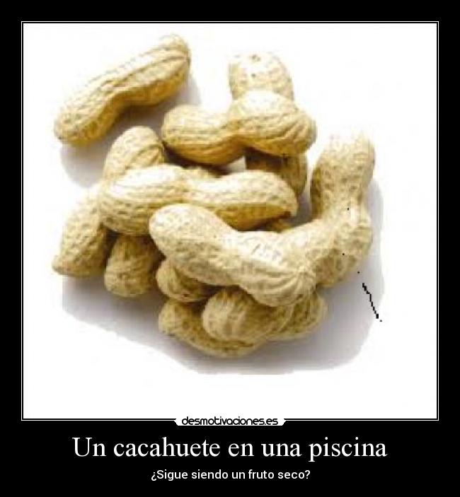 Un cacahuete en una piscina -