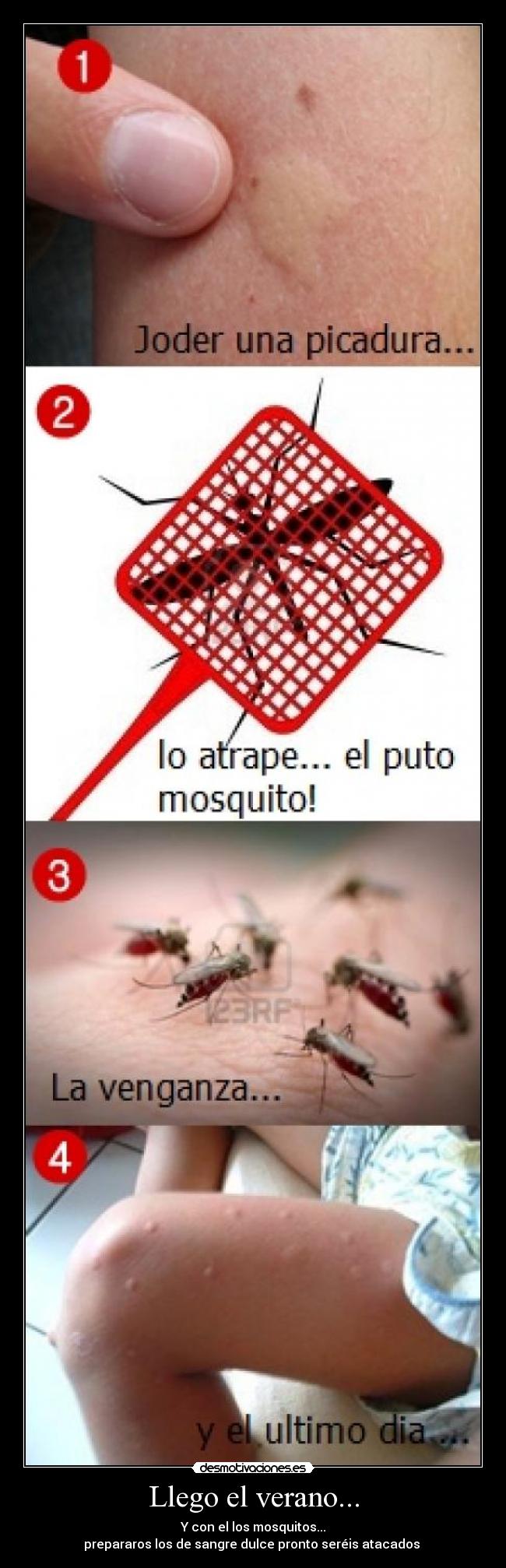 Llego el verano... - Y con el los mosquitos...
prepararos los de sangre dulce pronto seréis atacados 