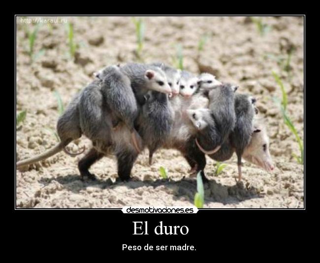 El duro - 