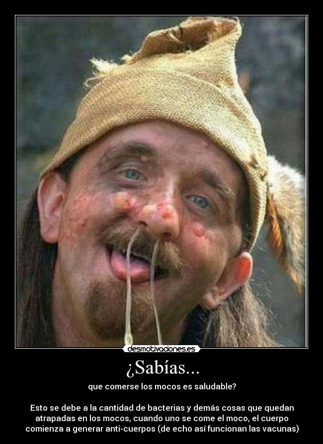 ¿Sabías... - que comerse los mocos es saludable?
Esto se debe a la cantidad de bacterias y demás cosas que quedan
atrapadas en los mocos, cuando uno se come el moco, el cuerpo
comienza a generar anti-cuerpos (de echo así funcionan las vacunas)