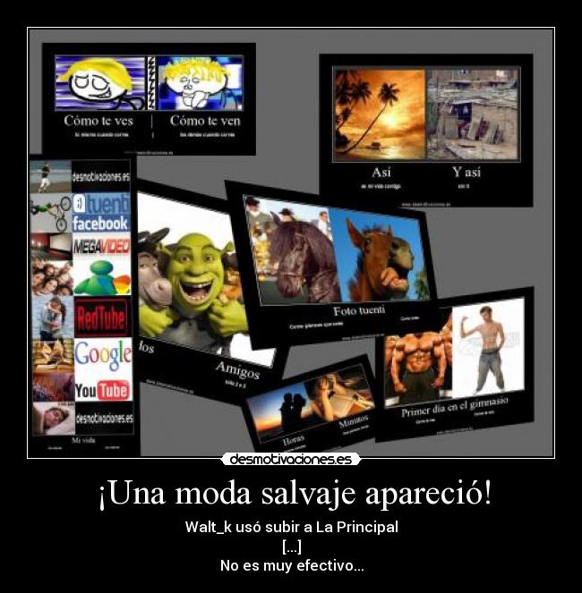 carteles modas memes bicarteles desmotivaciones