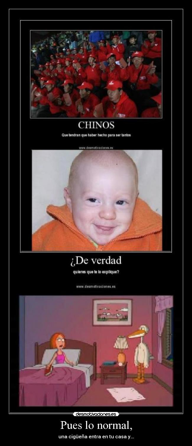 Pues lo normal, - una cigüeña entra en tu casa y...