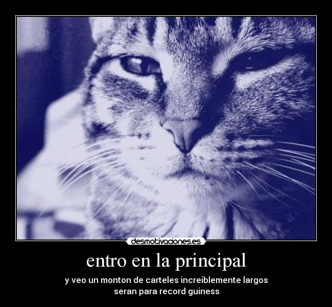 entro en la principal - y veo un monton de carteles increiblemente largos
seran para record guiness