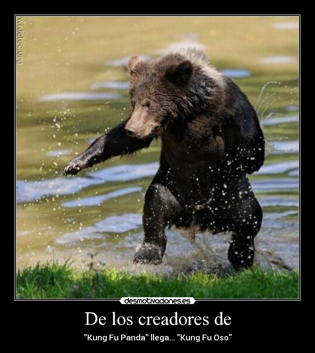 carteles oso kung desmotivaciones