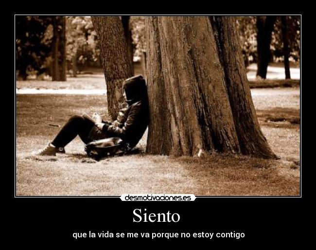 Siento  - 