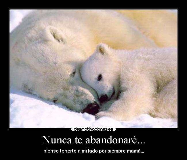 Nunca te abandonaré... -