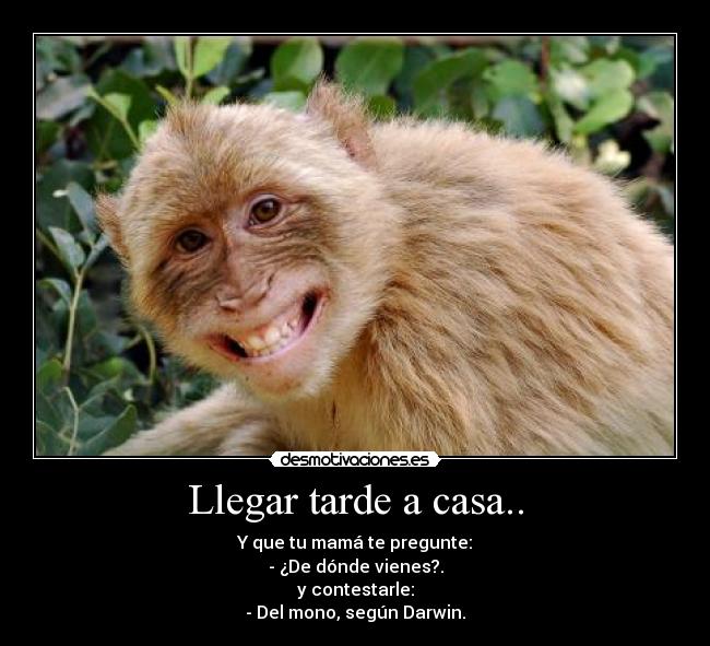 carteles casa mokey darwin desmotivaciones