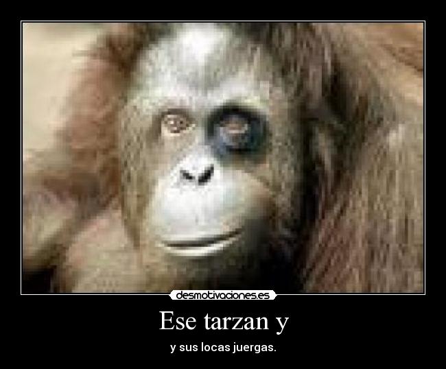 Ese tarzan y - 