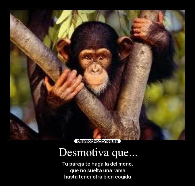Desmotiva que... - Tu pareja te haga la del mono,
que no suelta una rama
hasta tener otra bien cogida