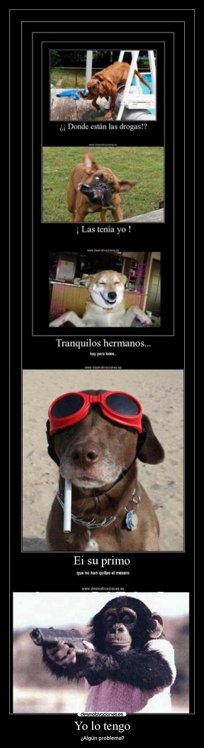 carteles tengo desmotivaciones