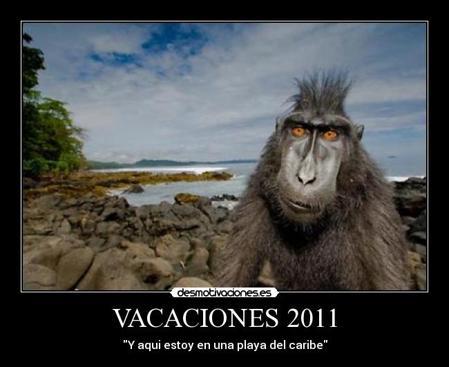 VACACIONES 2011 - 