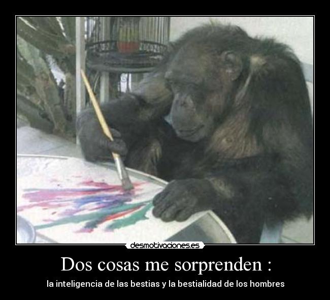 Dos cosas me sorprenden : - 