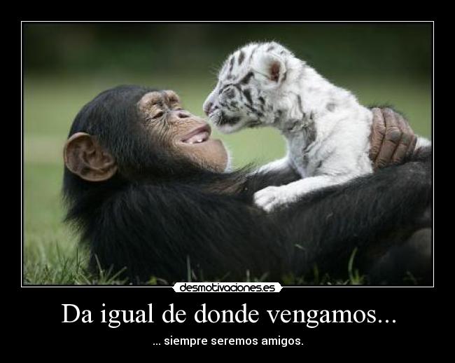 Da igual de donde vengamos... -