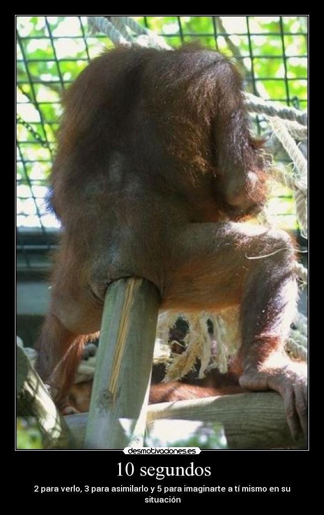 10 segundos - 2 para verlo, 3 para asimilarlo y 5 para imaginarte a tí mismo en su situación