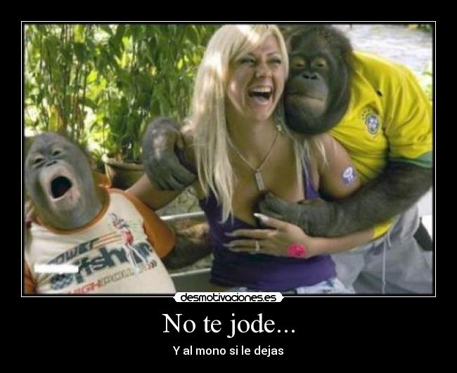 No te jode... -