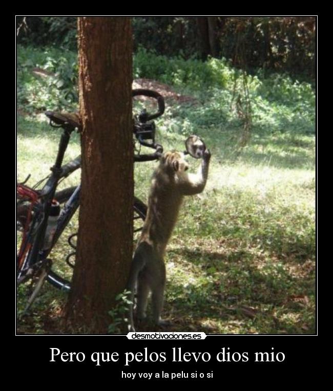 Pero que pelos llevo dios mio -