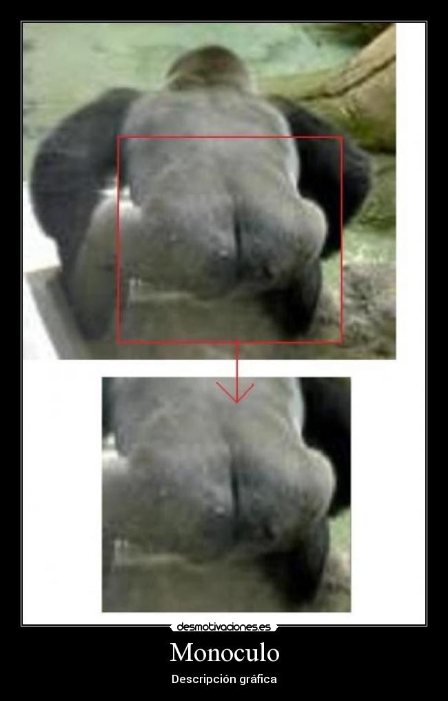 Monoculo -