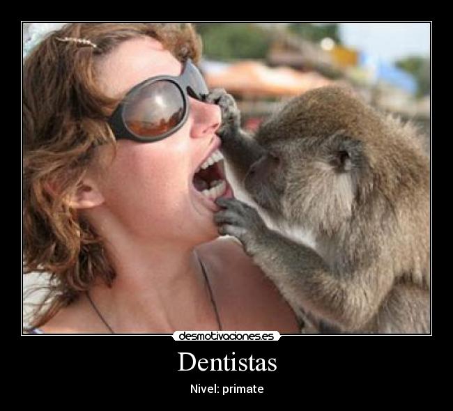 Dentistas - Nivel: primate