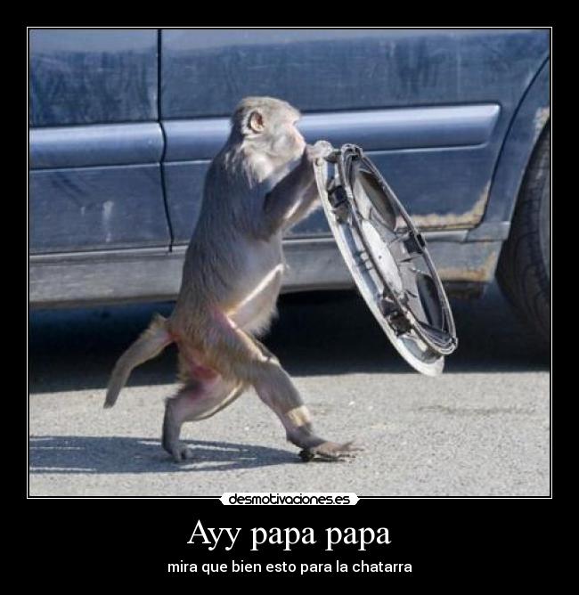 carteles monos desmotivaciones