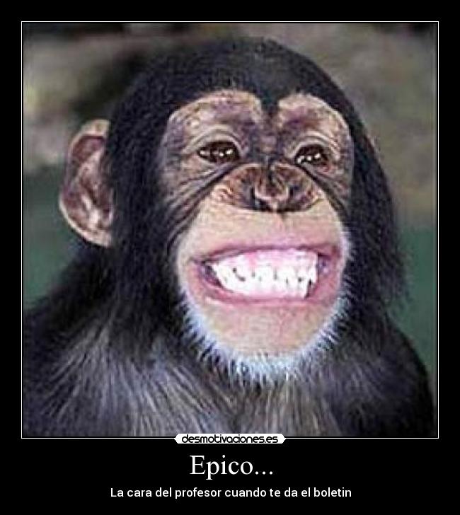 Epico... - 