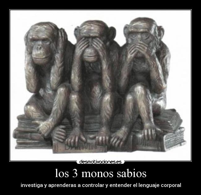carteles monos desmotivaciones