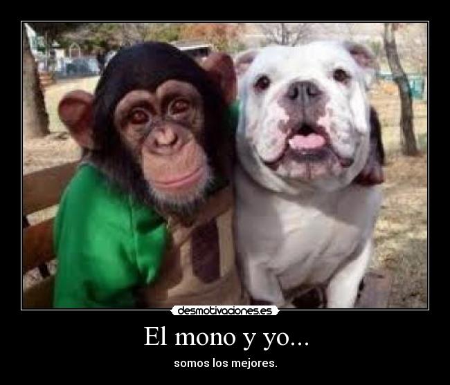 carteles iuyuikuytyhugt desmotivaciones