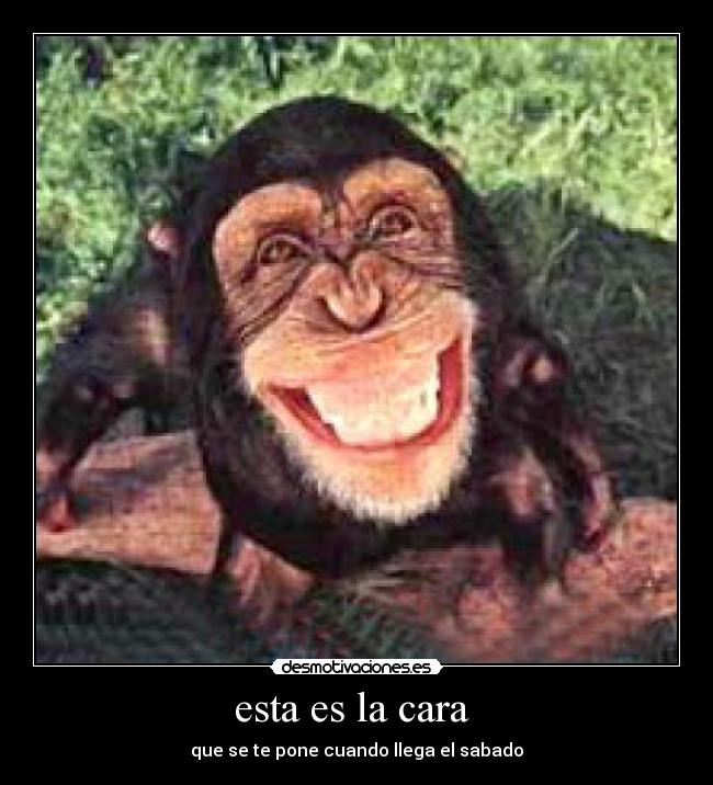 esta es la cara - que se te pone cuando llega el sabado