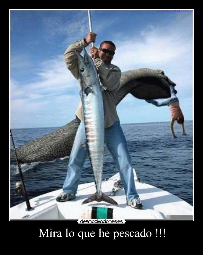 Mira lo que he pescado !!! -