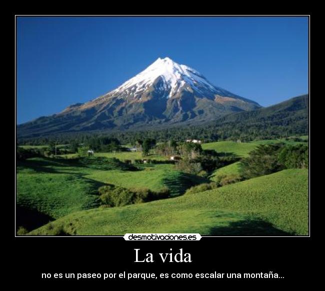 La vida -