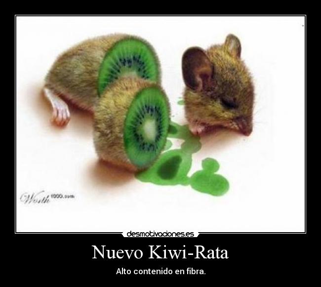 Nuevo Kiwi-Rata - 