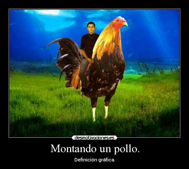 Montando un pollo. - Definición gráfica.