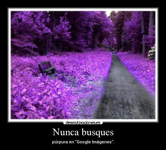 Nunca busques - púrpura en Google Imágenes.
