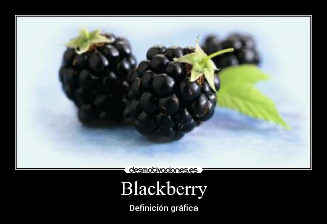 Blackberry -