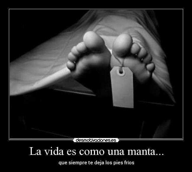 carteles vida morgue pantera_666 desmotivaciones
