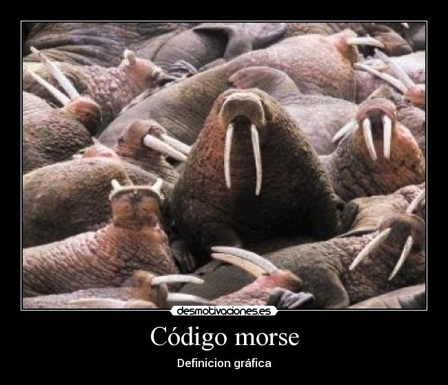 Código morse - Definicion gráfica