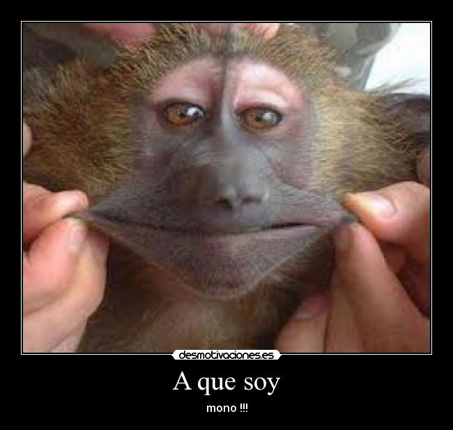 A que soy -