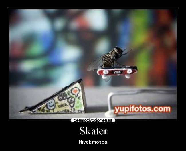 Skater - 