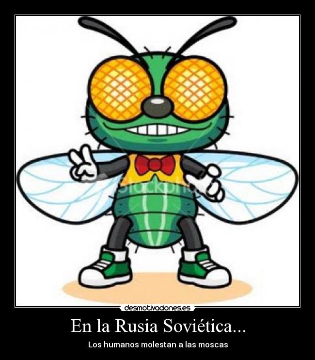 En la Rusia Soviética... - Los humanos molestan a las moscas