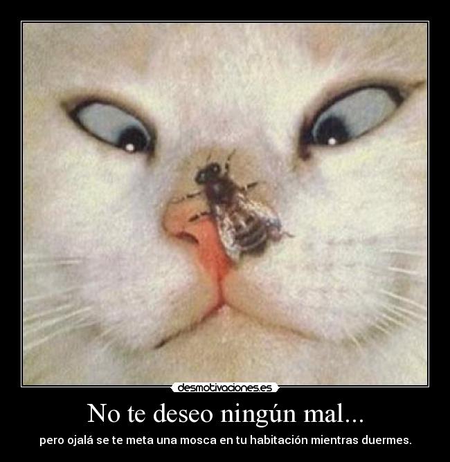 No te deseo ningún mal... -