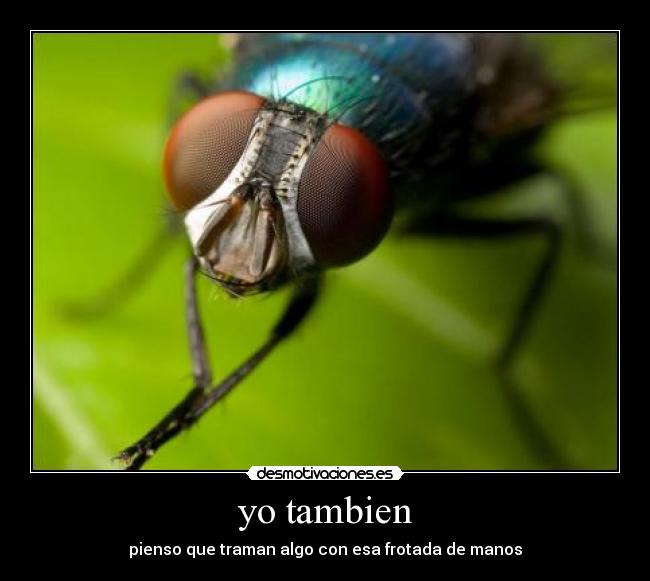 yo tambien - pienso que traman algo con esa frotada de manos