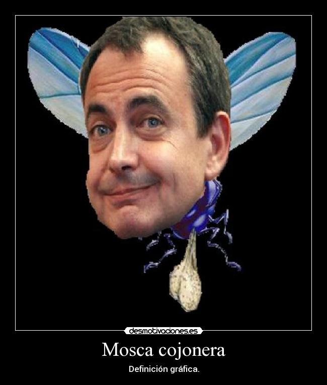 Mosca cojonera - 