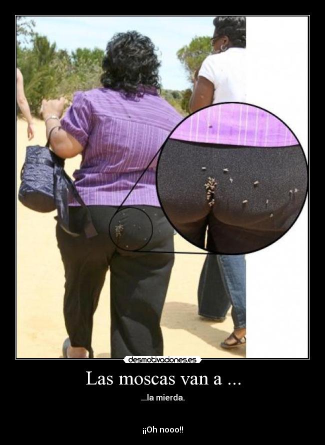 Las moscas van a ... - 