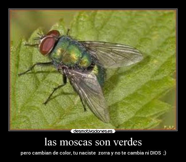 carteles nose desmotivaciones