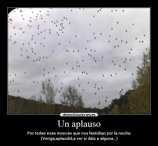 Un aplauso - Por todas esas moscas que nos fastidian por la noche.
(Venga,aplaudid,a ver si dáis a alguna...)