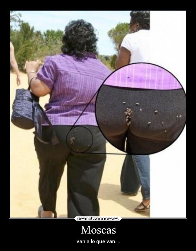 carteles mierda caca desmotivaciones