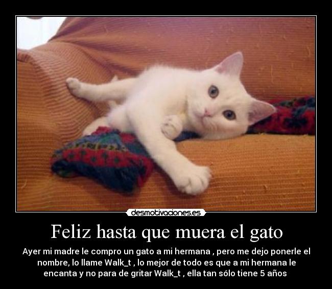 Feliz hasta que muera el gato -