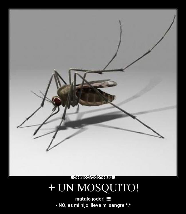 + UN MOSQUITO! - 