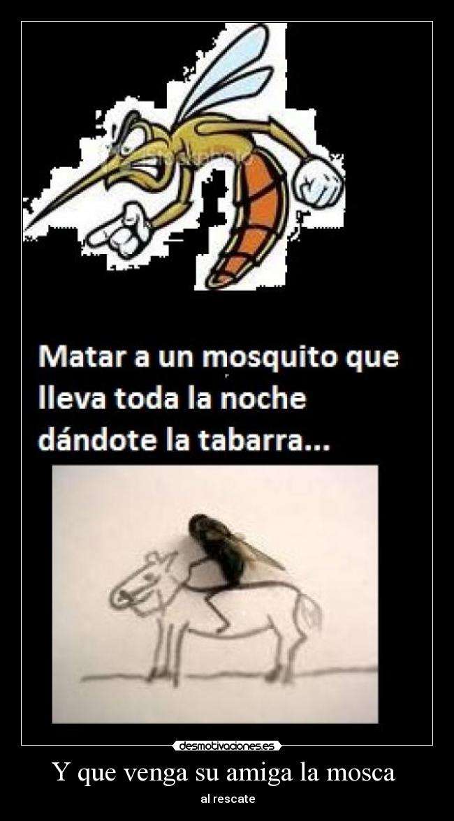 Y que venga su amiga la mosca  - 